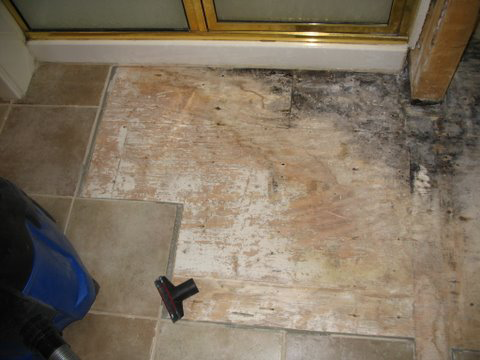 Mold as a result of a leaky shower stall